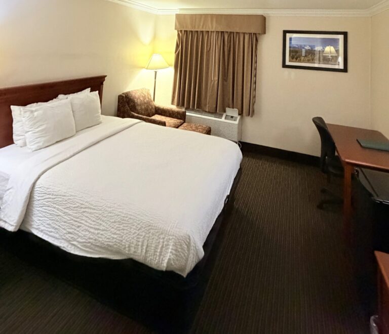 14a27ad8-115c-4879-8ea9-5b91b1040a5c