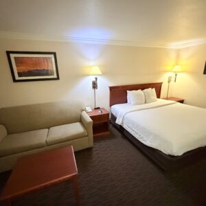 Single Room - Disability Access